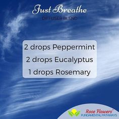 This is an amazing diffuser blend to keep you breathing easy! #essentialoils #diffuserblend Breathe Diffuser Blend Doterra, Diffuser Blends With Spearmint, Breathe Easy Diffuser Blend, Bergamot Clary Sage Diffuser Blend, Energizing Aromatherapy Blends, Essential Oils For Asthma, Doterra Diffuser Blends, Essential Oils Herbs, Oil Diffuser Recipes