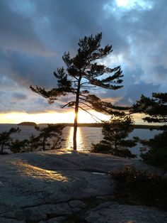 the sun is setting behind some trees on top of a hill by the water's edge