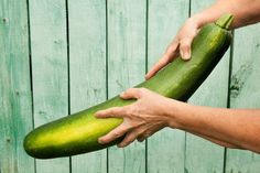 a person holding a large cucumber in front of a wooden fence with green paint