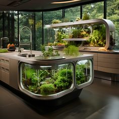 an indoor kitchen with plants growing in the glass display cases on the counter and sink