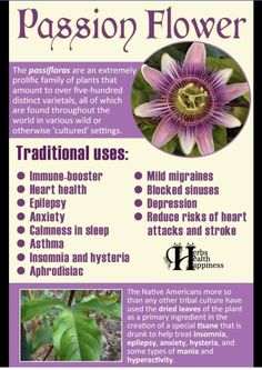 a poster describing the benefits of passion flower