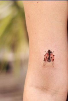 a lady bug tattoo on the side of a woman's leg, it looks like an insect