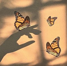 the shadow of a person's hand and three butterflies flying in the air on a wall