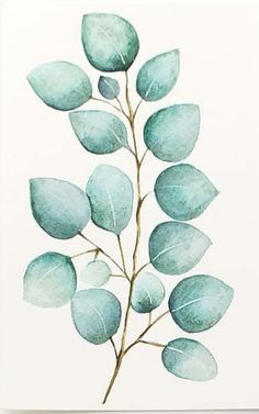 a watercolor painting of leaves on a white background