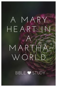 a pink flower with the words, a mary heart in a martha world bible study