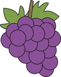 a bunch of grapes with green leaves on the top and purple berries on the bottom