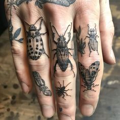 Vibrant Finger Tattoos Tattoo Master Files Detailed Finger Tattoo, Fern Ring Tattoo, Inner Fore Arm Tattoos, Vintage Finger Tattoo, Finger Pad Tattoo, Queer Americana Tattoo, Neo Traditional Finger Tattoos, Ocean Themed Hand Tattoos, Tattoos In Between Fingers