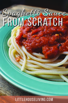 spaghetti sauce from scratch on a plate with text overlay that reads spaghetti sauce from scratch