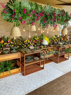 a room filled with lots of potted plants and hanging flowers on the wall above them