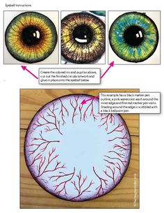 the diagram shows how to draw an eyeball with colored pencils and watercolor