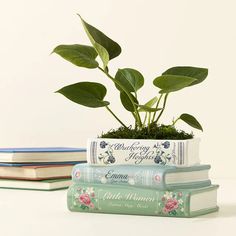 three books stacked on top of each other with a plant growing out of one book