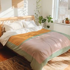 a bedroom with a bed, plant and window