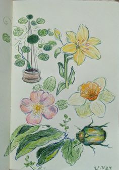 a drawing of flowers and leaves in colored pencils on paper with watercolor paints