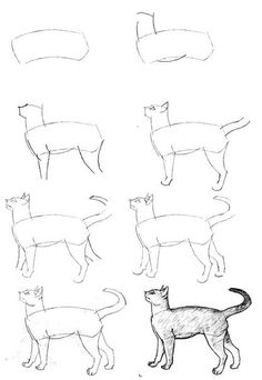 an image of cats that are drawn in pencil