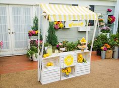 an outdoor lemonade stand with flowers and potted plants