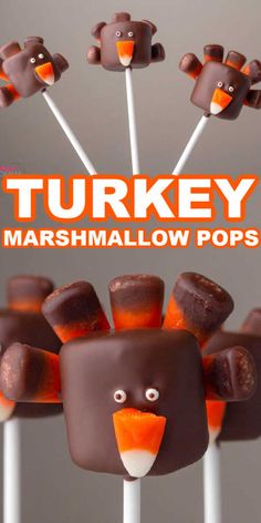 there are marshmallow pops that look like turkeys on sticks with the words turkey marshmallow pops above them