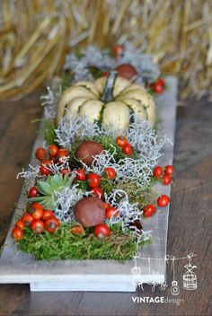 an arrangement of pumpkins, gourds and moss on a wooden table with hay in the background