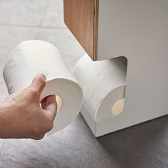 a person holding a roll of toilet paper in front of a white box on the floor