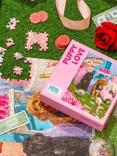 a pink puzzle box sitting on top of a green field next to flowers and money