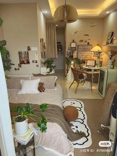 a living room filled with furniture and lots of plants