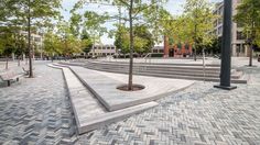 an empty park with benches and a tree in the center, surrounded by brick walkways