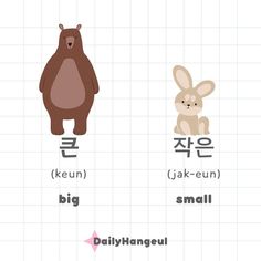 an animal and rabbit are shown in different languages, with the words'i love you '