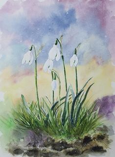 watercolor painting of snowdrops in the grass