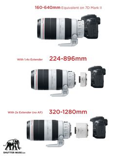 the canon 70 - 200mm lens compared to other camera models, with different sizes and colors