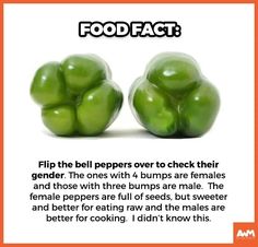 two green peppers sitting next to each other on top of a white sheet with the caption