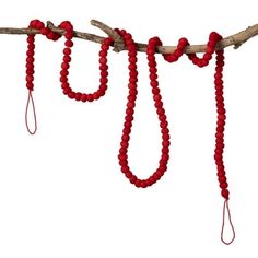 red beads are hanging from a branch