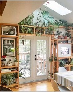 a room filled with lots of potted plants on top of wooden shelves next to a white table