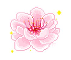 a pink flower with yellow stamens in the center on a white background cross stitch pattern