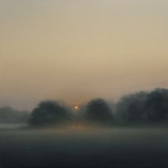 the sun is setting behind some trees on a foggy day