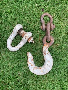 an old rusty hook and chain laying on the grass