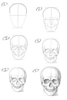 How to draw a skull with a pencil step-by-step drawing tutorial Quick Anatomy Sketch, Human Anatomy Art Sketches Study, Skull Study Drawing, Nose Step By Step, Draw A Skull, Trin For Trin Tegning, Skull Sketch, Skeleton Drawings