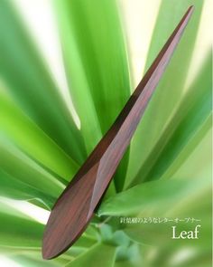 a close up of a leaf with the words leaf written in english and japanese on it