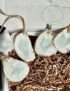 four seashells are hanging from twine strings in a box with wood shaving