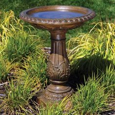 a bird bath sitting in the middle of some grass