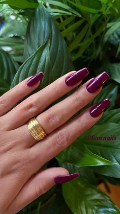 Summer into fall nails #plumnails #nails #fallnails #augustnails #purplenailsdesigns #plum #acrylicnailsshapes #acrylicnails Violet Red Nails, Red Purple Chrome Nails, Berry Acrylic Nails, Reddish Purple Nails, Nails Raspberry, Purple Burgundy Nails, Maroon Purple Nails, Plum Almond Nails, Plum Christmas Nails