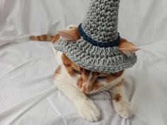 a cat wearing a crocheted hat on top of it's head