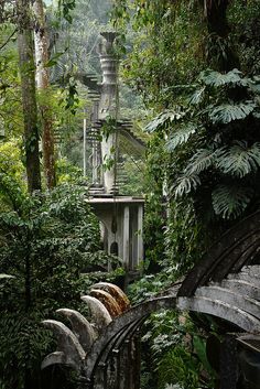 an old structure in the middle of some trees and bushes with lots of plants growing on it