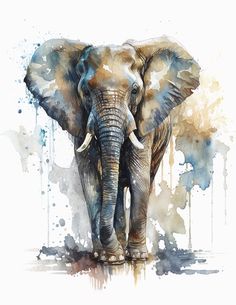 an elephant with tusks standing in front of paint splatters