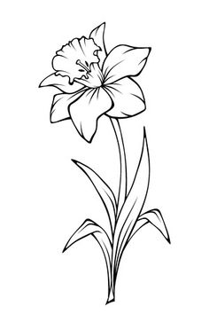 the outline of a flower on a white background