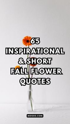 an orange flower in a vase with the words inspirational and short fall flower quotes