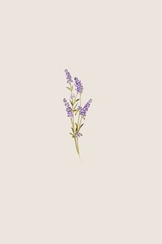 purple flowers on a light gray background