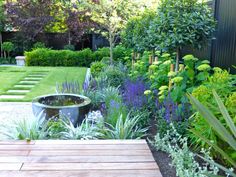 a garden with lots of different types of plants