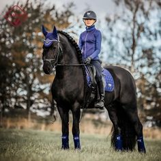 Outfit Equitation, Blue Horse Tack, Friesian Dressage, Horsey Life, Horse Story, Horse Dressage