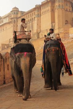 two men riding on the backs of elephants in front of an old castle like building