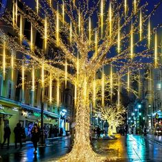 a lighted tree on a city street at night