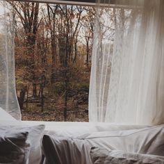 a bed sitting in front of a window covered in white sheets and curtains with trees outside